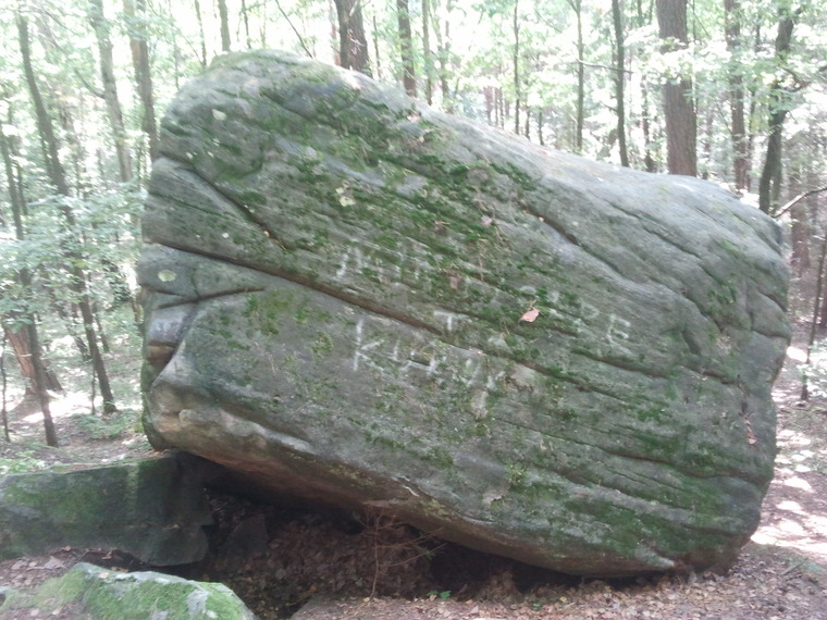 Parapetolog