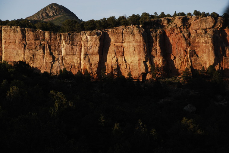 Cactus Cliff