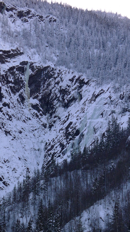 Juvsøyla