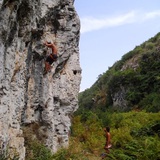 Diogo Tomé
