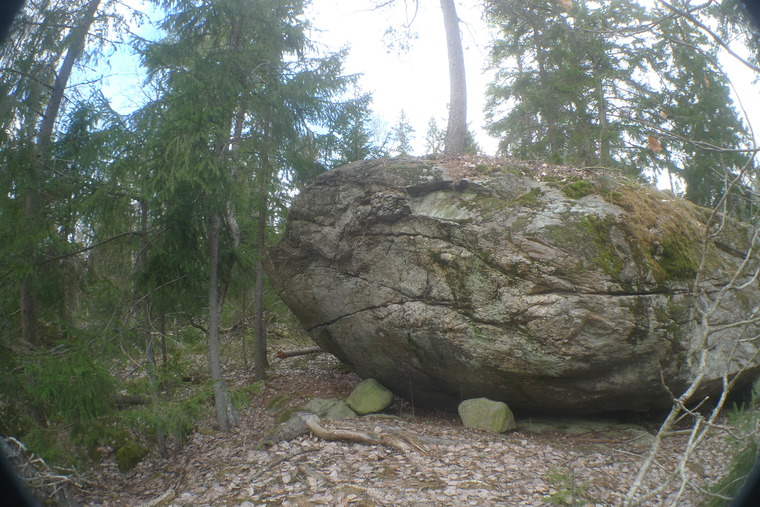 Sköldpaddan