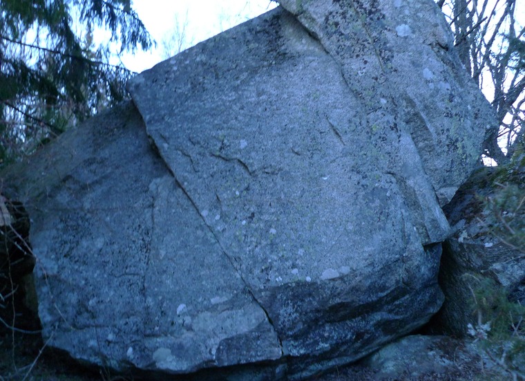 Fasans makt