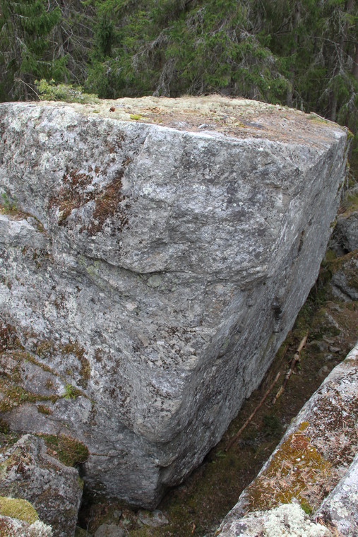 Fläskläpp