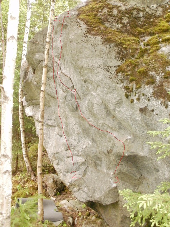 Tertun telmari