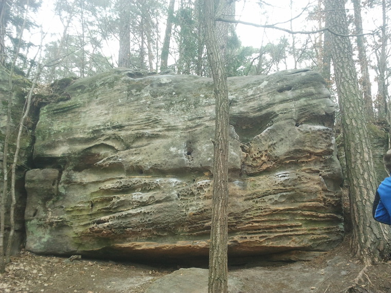 Parapetolog