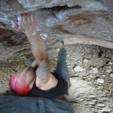 Daniel Kelly
