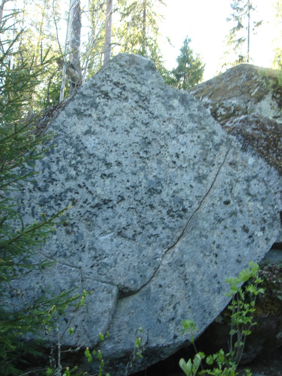 Unikivi