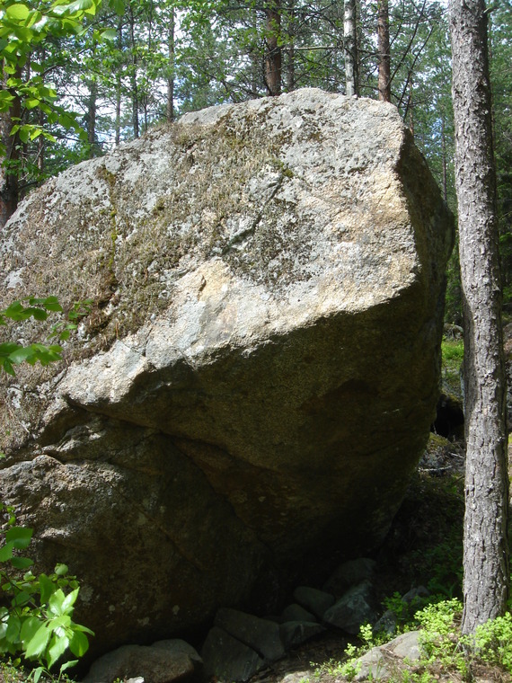 Lauluja metsästä