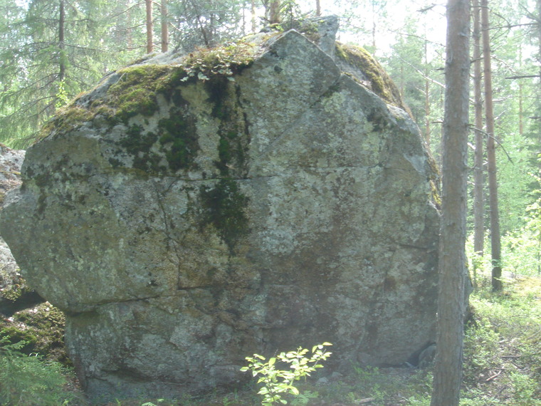 Lauluja metsästä