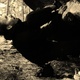 Small b344971c1142