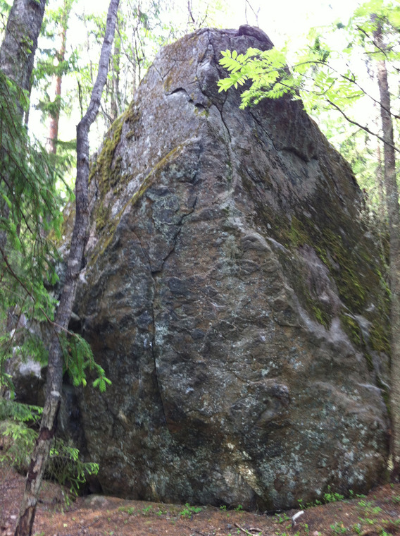 Uniikkimesta