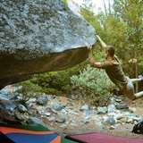 Colin Trenter