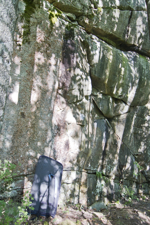 Hundskog Feissi