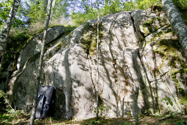 Hundskog Feissi