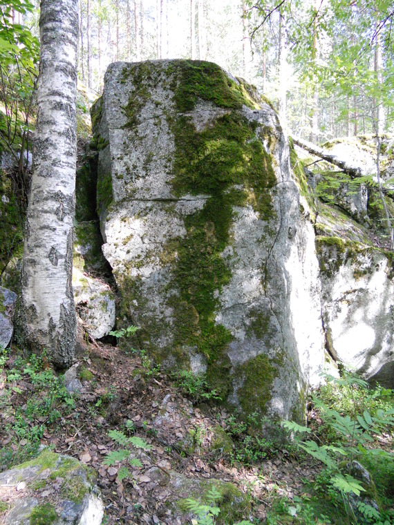 Pitsalähetti
