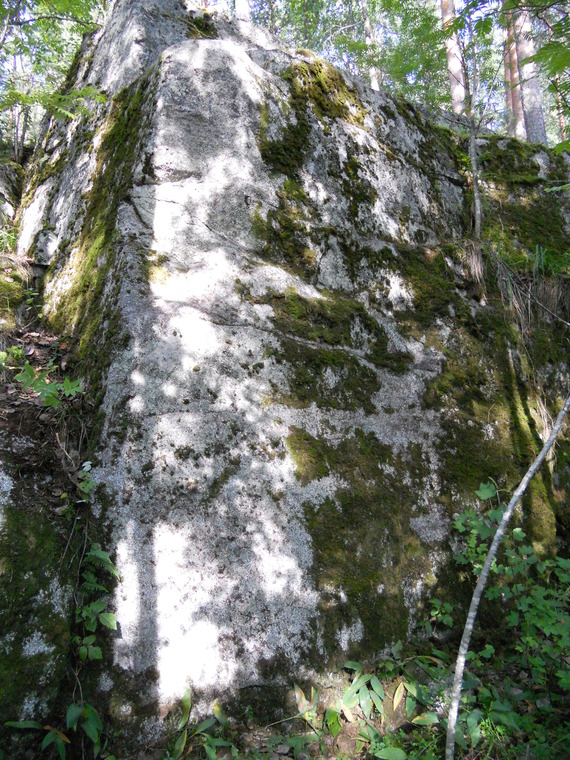 Pitsalähetti