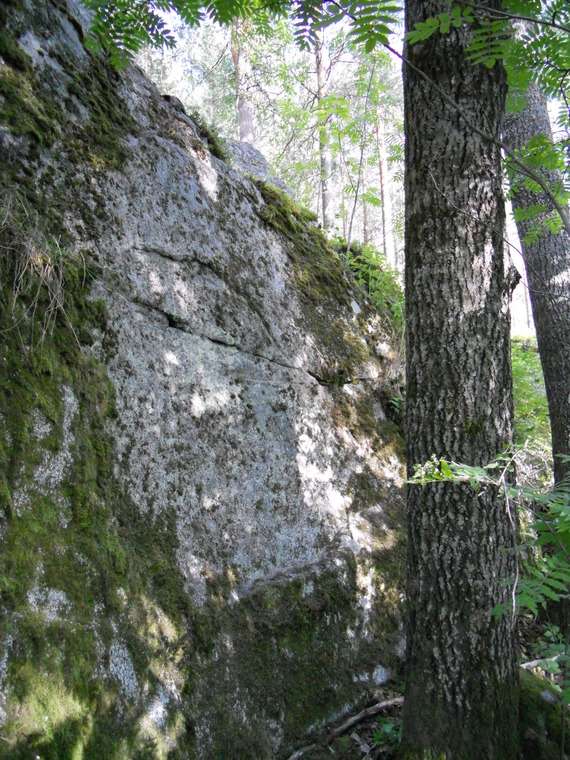 Pitsalähetti
