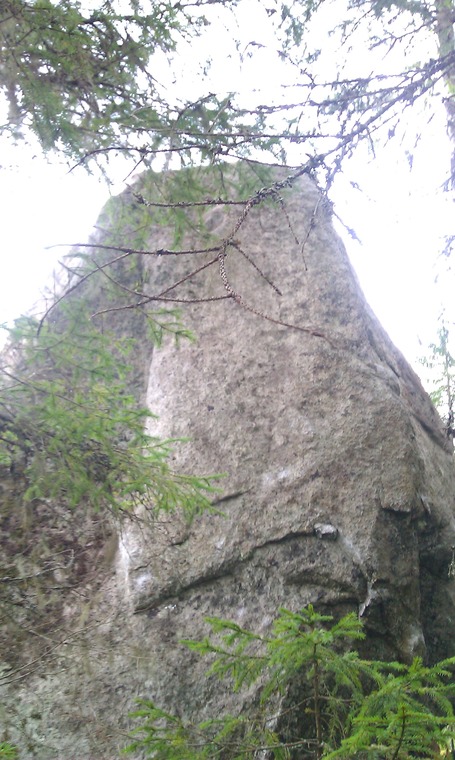 Isompi kivi