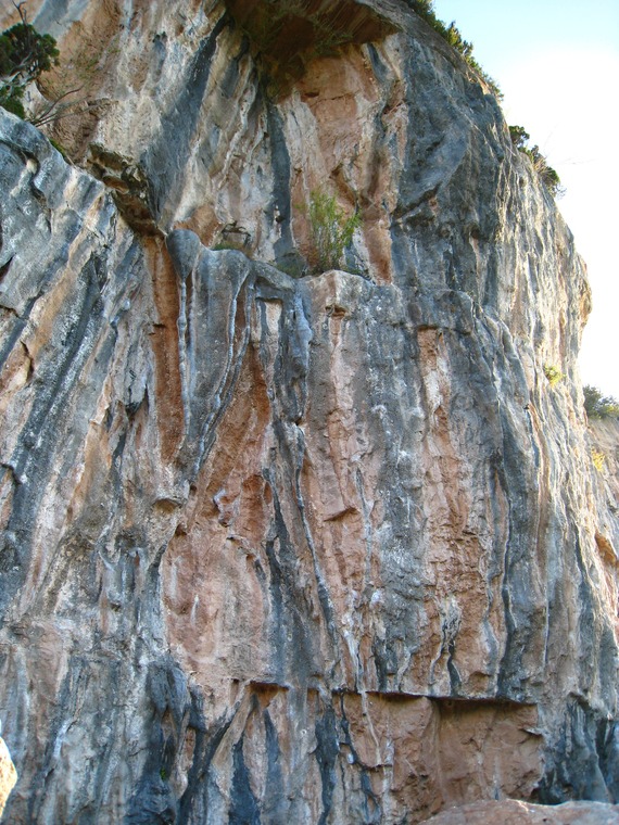 La Vena