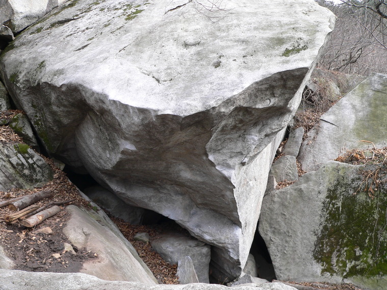 Jungle Book