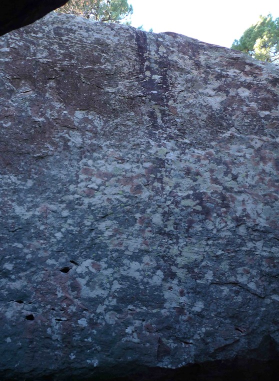 Techos Top (B21-B54)