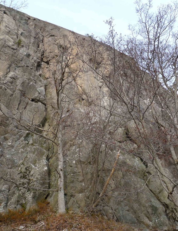 Ekoberget