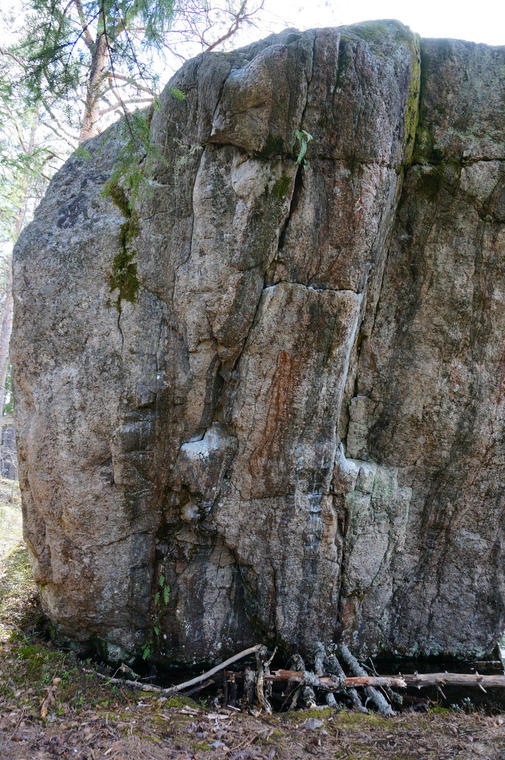 Nuorempana urheilin