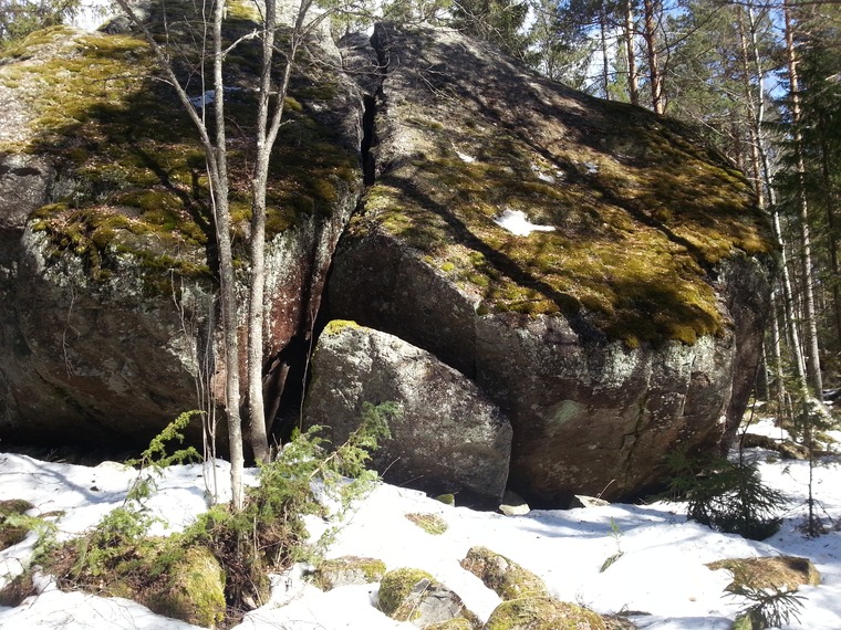 Stora skogsblocket