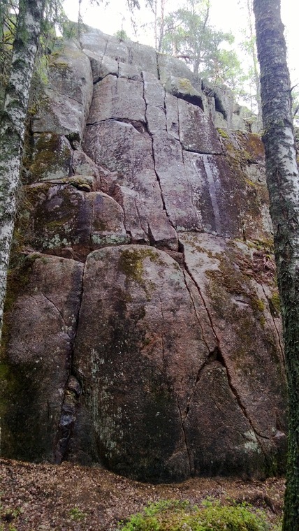 Metsä