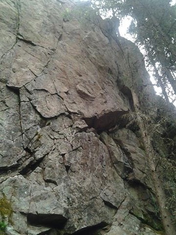 Solidi