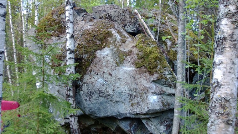 Tertun telmari