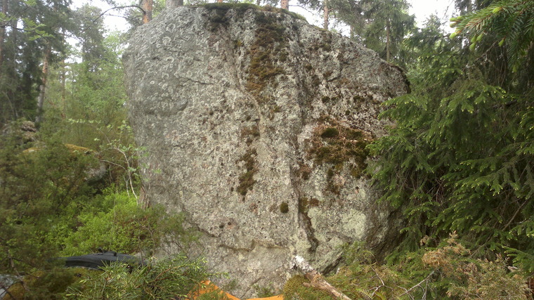 Nyrkkikyllikki