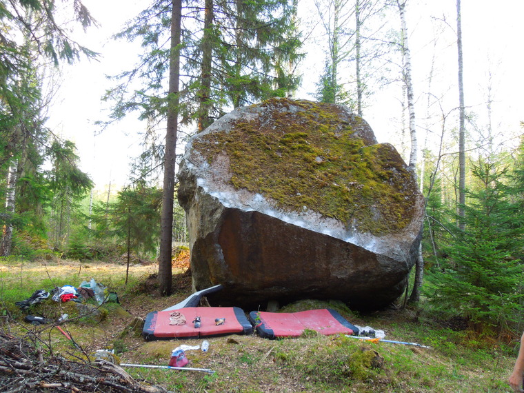 Kultakala