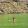 Tiny d209665a8934