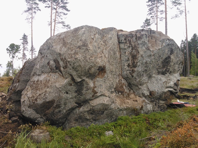 Palanut kivi