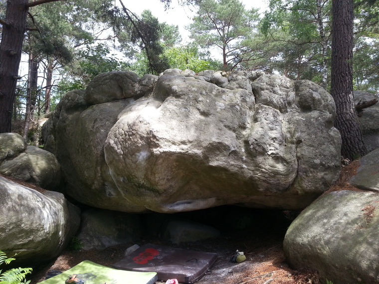 Crazy horse