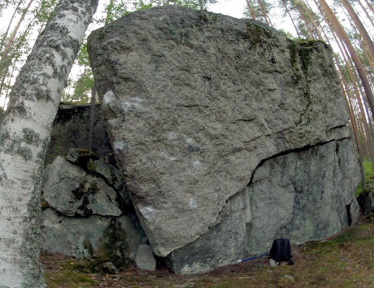 Kivi 7