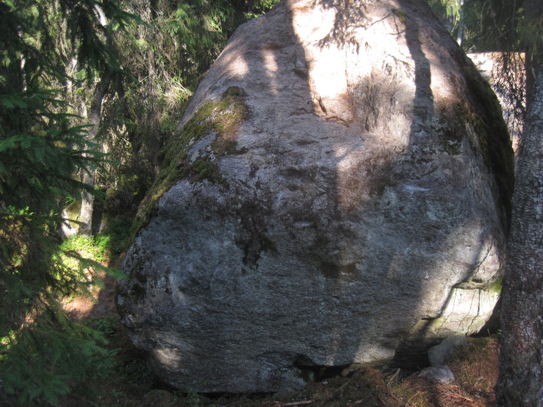 Bosoni