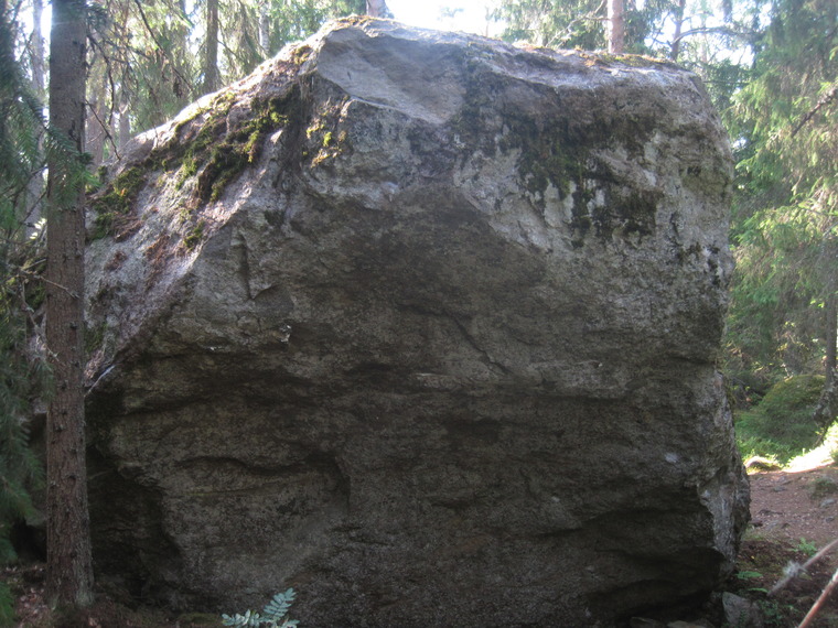 Bosoni