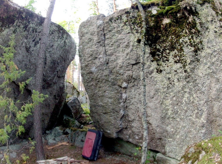 Kivi 7