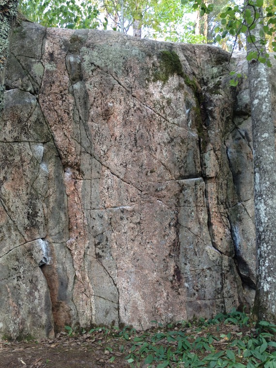 Hundskog Feissi