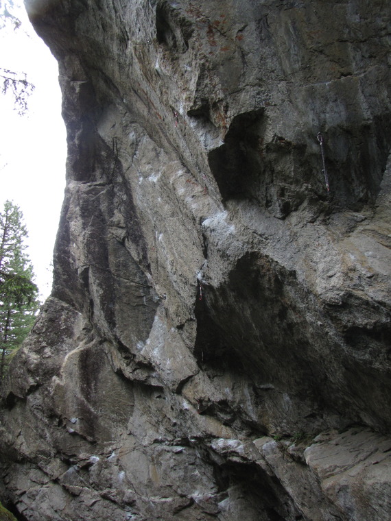 Glückshormon