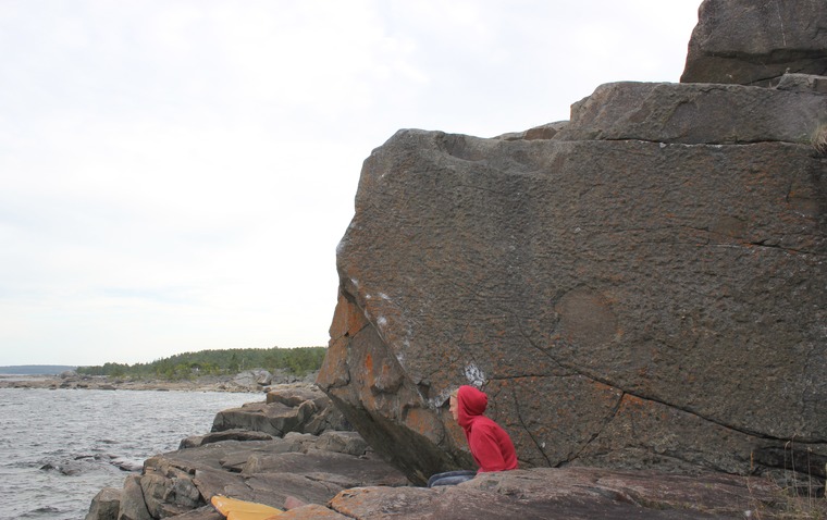 Svarte arm