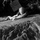 Tiny 28eea1617794