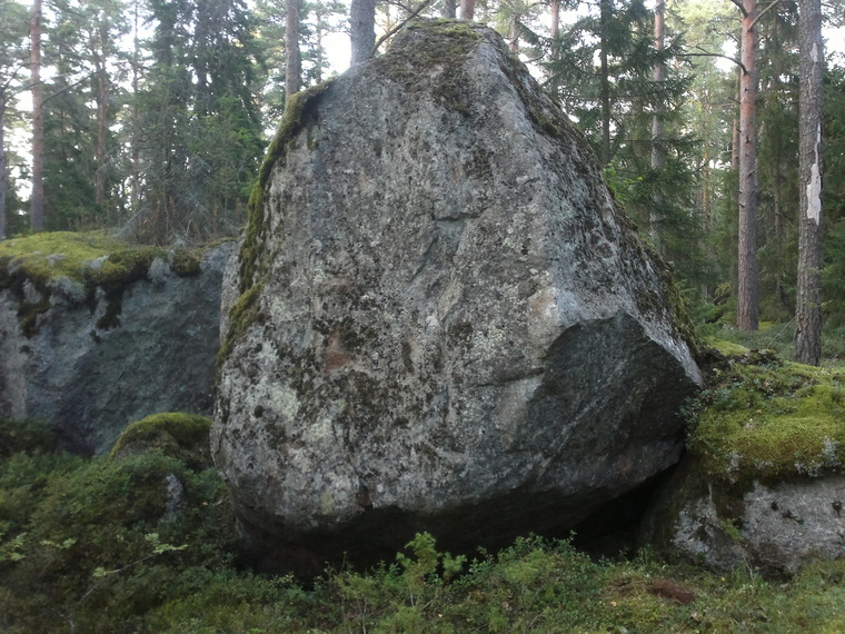 Jäkälä