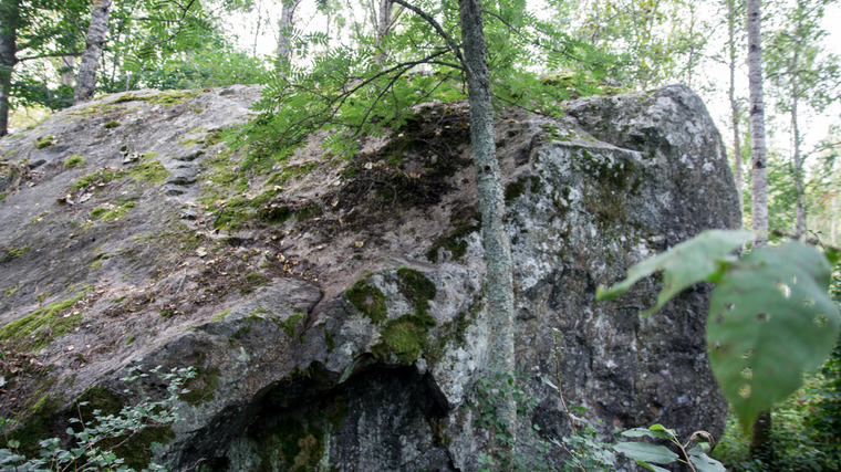 Veenus