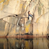 Henrik Javette