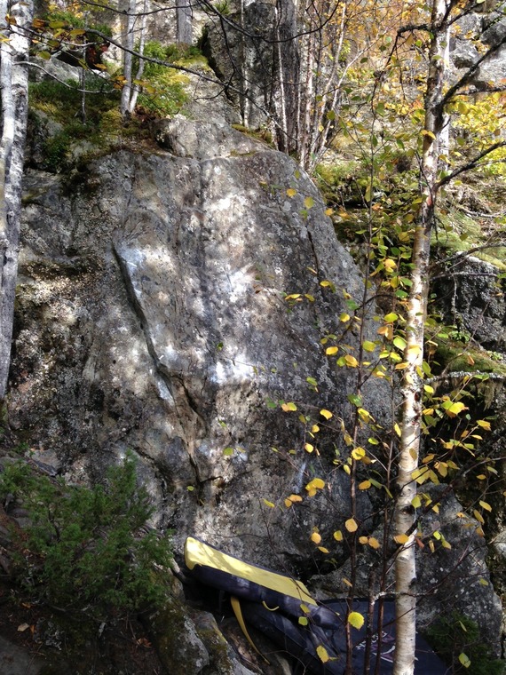 Mitt i vägen