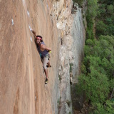 Ori Segal