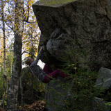 Liisa Korpela